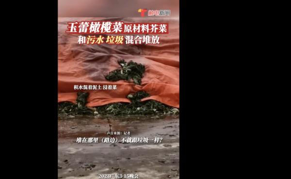 苍蝇乱飞、阵阵恶臭……“全天下都是这么做橄榄菜的”？