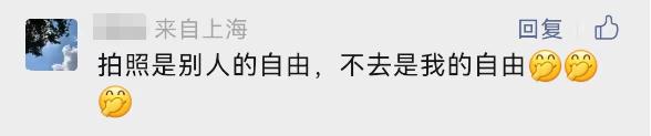 今天开幕！上海警方：大客流已是必然！“霸树”式拍照真的管不好？最大难点在于…