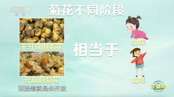 【养生】想要滋肝益肾、平肝明目？一杯茶帮你搞定！