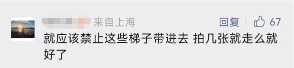 今天开幕！上海警方：大客流已是必然！“霸树”式拍照真的管不好？最大难点在于…