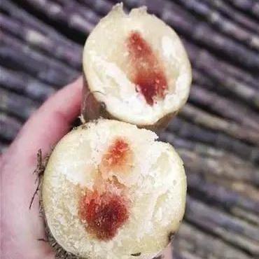 紧急提醒！吃了这种水果，有人进ICU，有人抽搐30年...