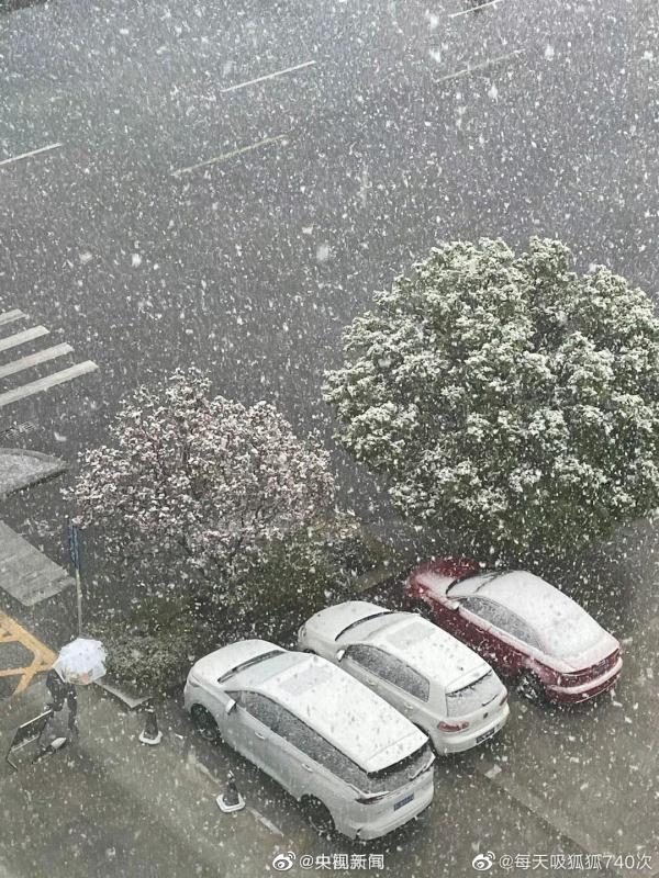 河南多地迎3月“桃花雪” 河南多地迎3月“桃花雪”