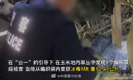 警犬搜毒超12公斤被奖励鸡腿花环 警犬搜毒超12公斤被奖励鸡腿花环
