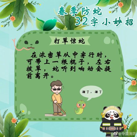 防蛇超实用小妙招