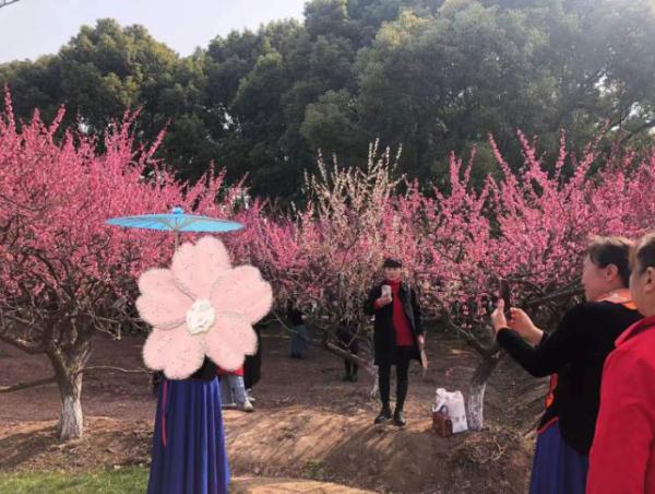 全网围观“丝巾阿姨”和“小姐姐”樱花树下抢机位?上海阿姨:我们尽量工作日来 全网围观“丝巾阿姨”和“小姐姐”樱花树下抢机位?上海阿姨:我们尽量工作日来