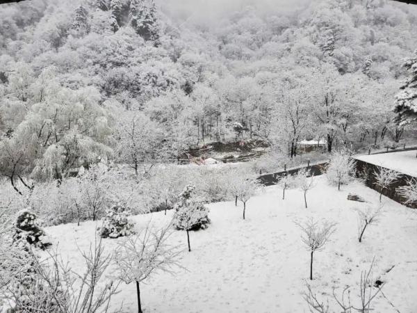 暴雪预警！多地普降大雪，西安要下到→