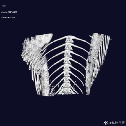 研究证实鲫鱼无肌间刺性状可稳定遗传