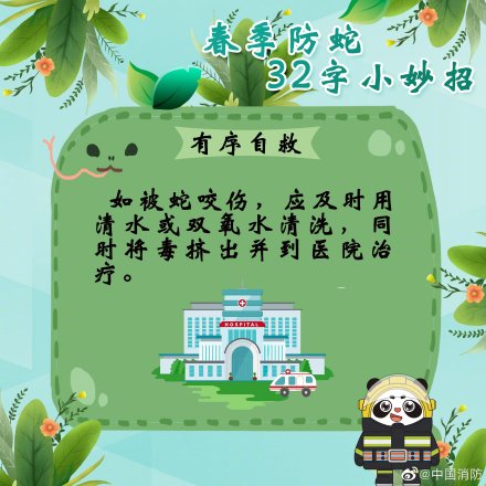 防蛇超实用小妙招