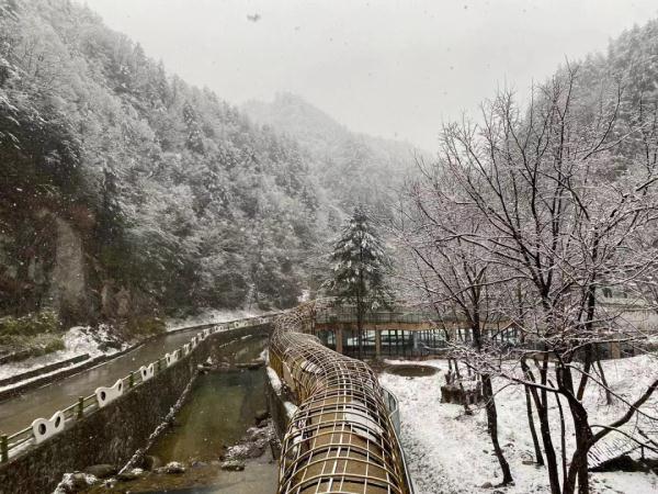 暴雪预警！多地普降大雪，西安要下到→