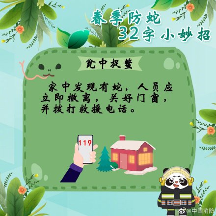 防蛇超实用小妙招