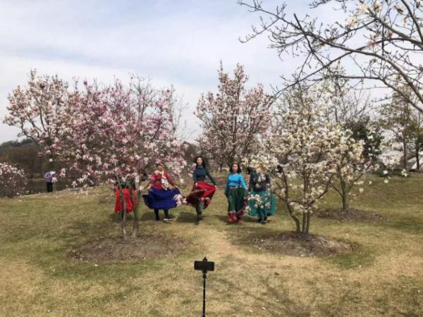 全网围观“丝巾阿姨”和“小姐姐”樱花树下抢机位?上海阿姨:我们尽量工作日来 全网围观“丝巾阿姨”和“小姐姐”樱花树下抢机位?上海阿姨:我们尽量工作日来