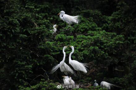 岭澳核电站安全运行超6000天