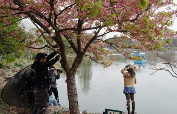 全网围观“丝巾阿姨”和“小姐姐”樱花树下抢机位?上海阿姨:我们尽量工作日来 全网围观“丝巾阿姨”和“小姐姐”樱花树下抢机位?上海阿姨:我们尽量工作日来