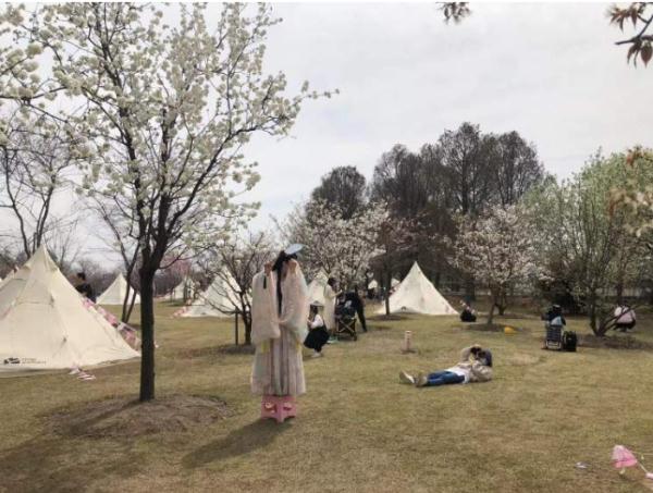 全网围观“丝巾阿姨”和“小姐姐”樱花树下抢机位?上海阿姨:我们尽量工作日来 全网围观“丝巾阿姨”和“小姐姐”樱花树下抢机位?上海阿姨:我们尽量工作日来