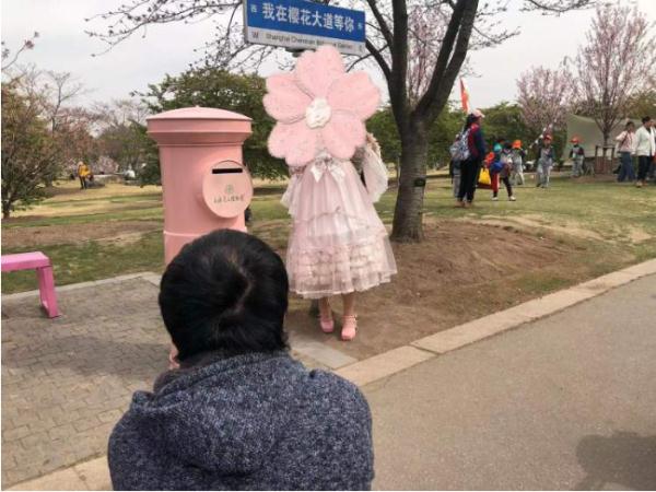 全网围观“丝巾阿姨”和“小姐姐”樱花树下抢机位?上海阿姨:我们尽量工作日来 全网围观“丝巾阿姨”和“小姐姐”樱花树下抢机位?上海阿姨:我们尽量工作日来