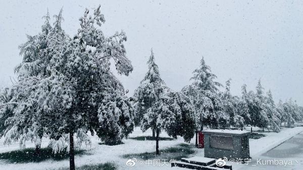 河南多地迎3月“桃花雪” 河南多地迎3月“桃花雪”