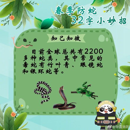 防蛇超实用小妙招