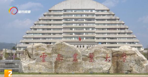 云南农大丁同学又火了,这次是因为...... 云南农大丁同学又火了,这次是因为......