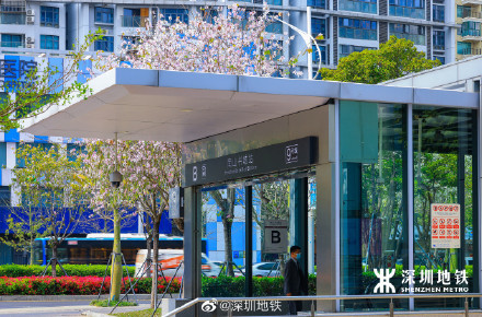 美到九宫格都放不下春天的深圳地铁口美得像画