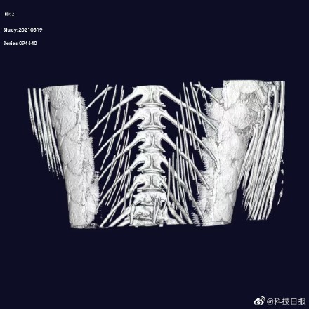研究证实鲫鱼无肌间刺性状可稳定遗传