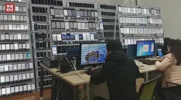 连夜行动！“儿子”们被封！企业被查！