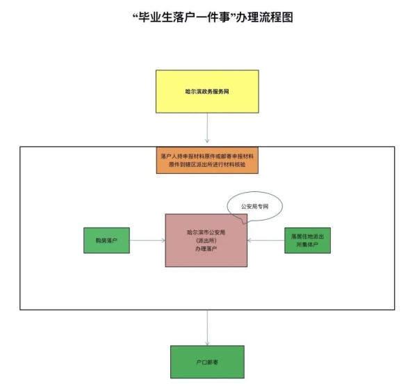 一键办！哈尔滨“大学生落户一件事”上线试运行