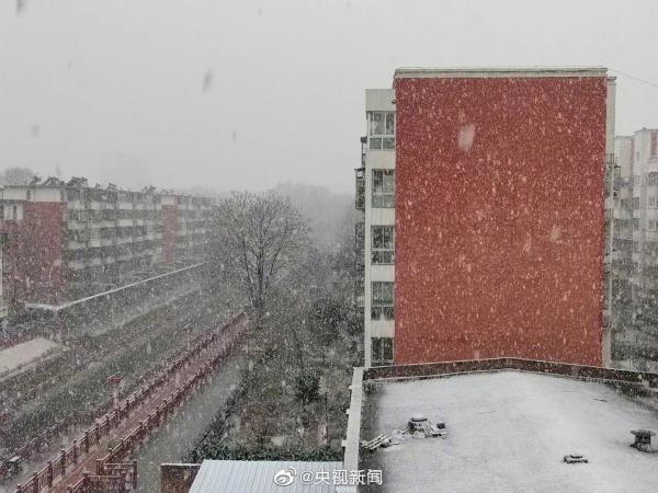 河南多地迎3月“桃花雪” 河南多地迎3月“桃花雪”