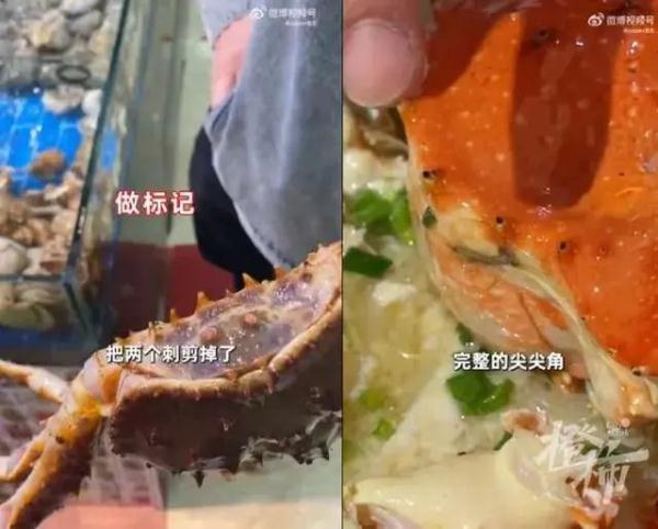 热点 | 曝光商家“缺斤短两”,探店博主被悬赏“10万一条腿”?已报警! 热点 | 曝光商家“缺斤短两”,探店博主被悬赏“10万一条腿”?已报警!