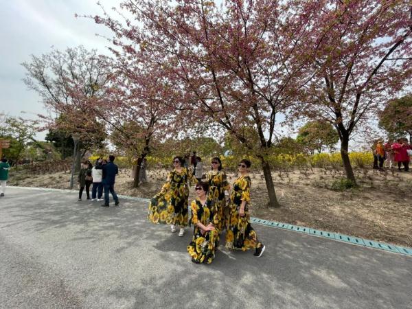 全网围观“丝巾阿姨”和“小姐姐”樱花树下抢机位?上海阿姨:我们尽量工作日来 全网围观“丝巾阿姨”和“小姐姐”樱花树下抢机位?上海阿姨:我们尽量工作日来