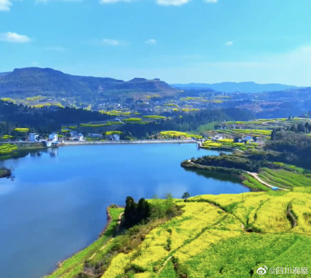 溢出屏幕的春!四川千亩油菜花翻滚成金海 溢出屏幕的春!四川千亩油菜花翻滚成金海