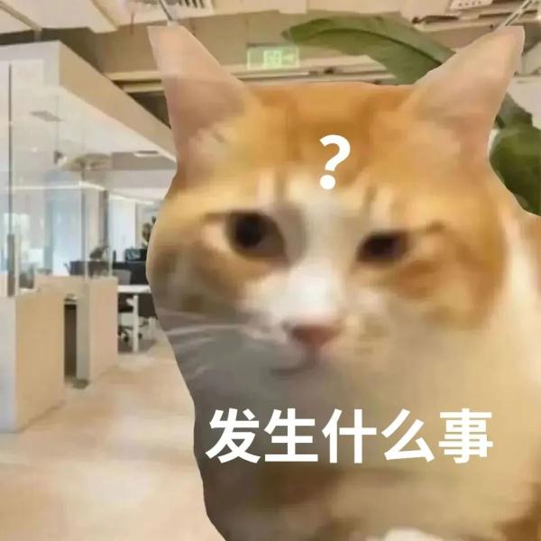 一天报警40多次，什么情况？