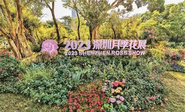 深圳入围国内20大赏花胜地