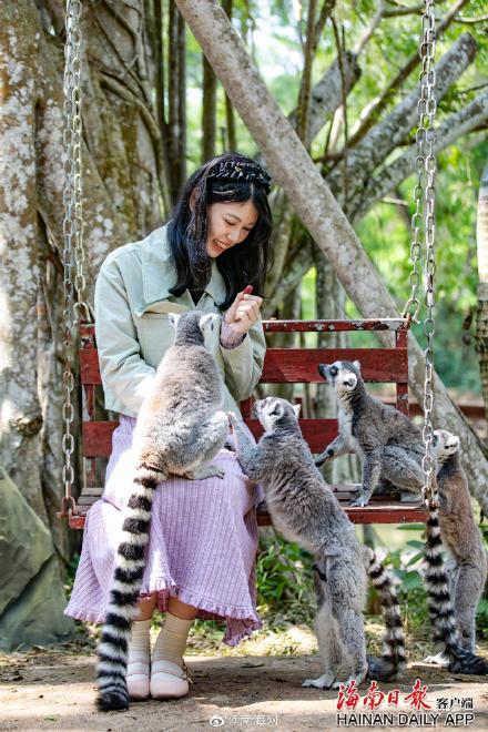 海南热带野生动植物园来了“新朋友” 海南热带野生动植物园来了“新朋友”