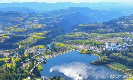 溢出屏幕的春!四川千亩油菜花翻滚成金海 溢出屏幕的春!四川千亩油菜花翻滚成金海