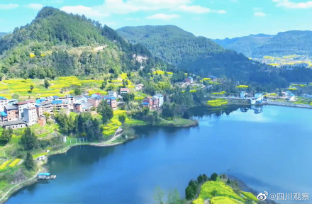 溢出屏幕的春!四川千亩油菜花翻滚成金海 溢出屏幕的春!四川千亩油菜花翻滚成金海