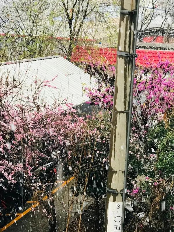 国内多地突降暴雪！江苏接下来的天气.....