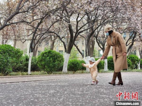 山东高校现“繁花大道” 学子宛若画中游