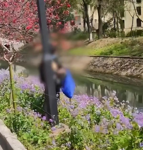 大爷大妈疑似挖走大学生“毕业论文”