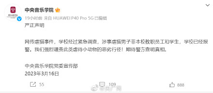 中央音乐学院回应男子虐猫事件