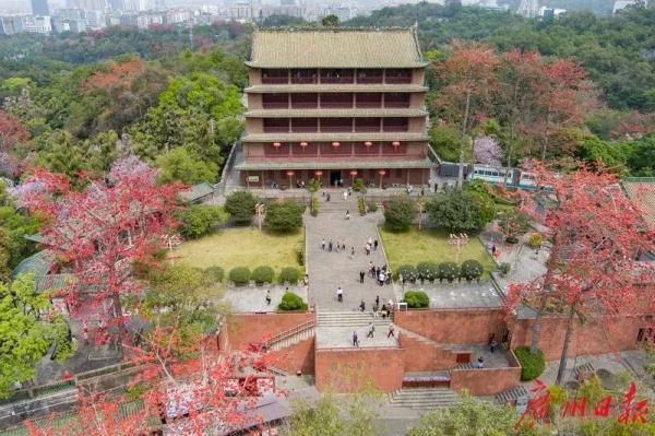 别的地方在下雪，广东人却还穿着短袖赏花？冷空气何时来？