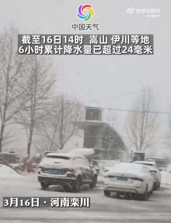 江苏下雪了！近期这些地方有霜或霜冻……