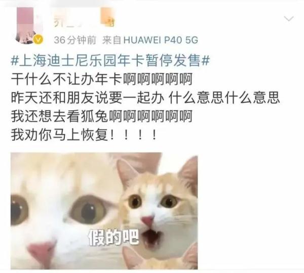 上海迪士尼宣布：停售！网友：快乐没了？实际情况是→