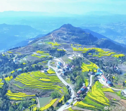 溢出屏幕的春!四川千亩油菜花翻滚成金海 溢出屏幕的春!四川千亩油菜花翻滚成金海