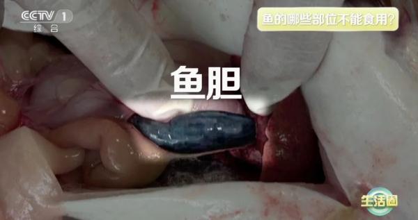 会吃鱼让你长寿又聪明，但这3种鱼早该被拉黑，却还有很多人在吃