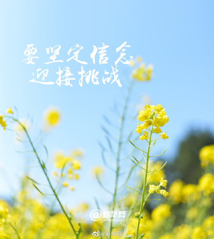 邂逅春天向阳而生！这个春天坚持做这9件事