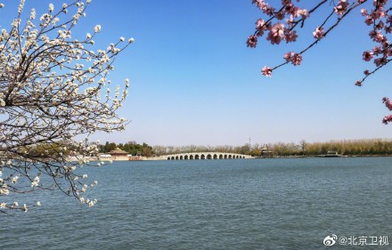 颐和园山桃烂漫春色满园