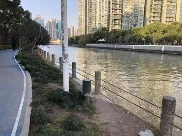 黄浦江边又添新玩法！爷叔：周末来一定要早点抢位子……