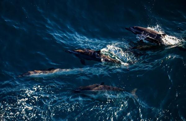 高清大片来袭!一起感受水兵的浪漫 高清大片来袭!一起感受水兵的浪漫