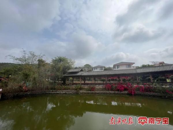 南宁下周天气“过山车”！限时体验34℃夏天后，迎来降温+强对流……