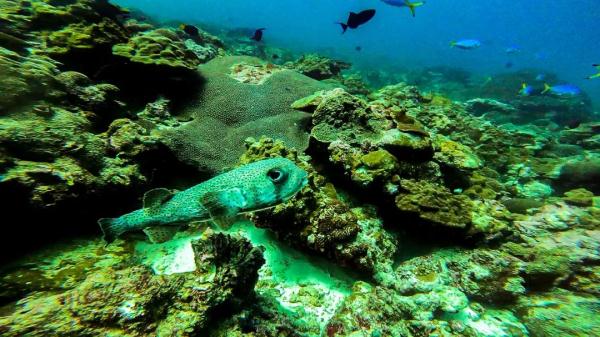 高清大片来袭!一起感受水兵的浪漫 高清大片来袭!一起感受水兵的浪漫